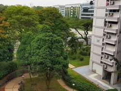 Blk 538 Ang Mo Kio Avenue 5 (Ang Mo Kio), HDB 4 Rooms #169542372